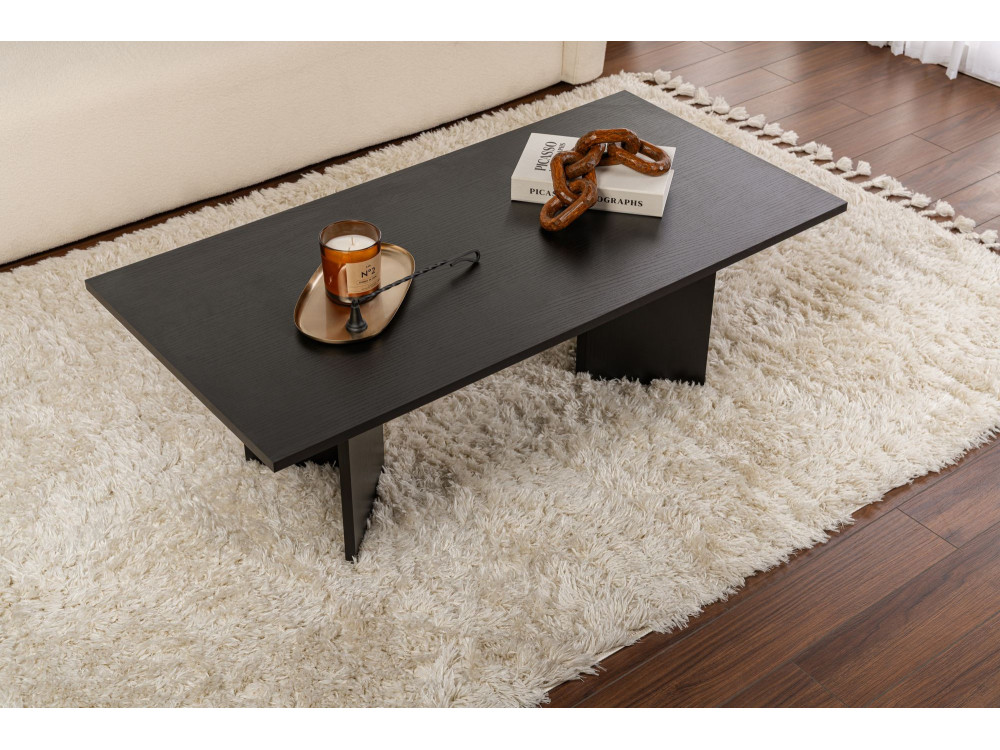 Mesa de centro de madera "Sabin" - 60 x 119 x 40 cm - Madera negra