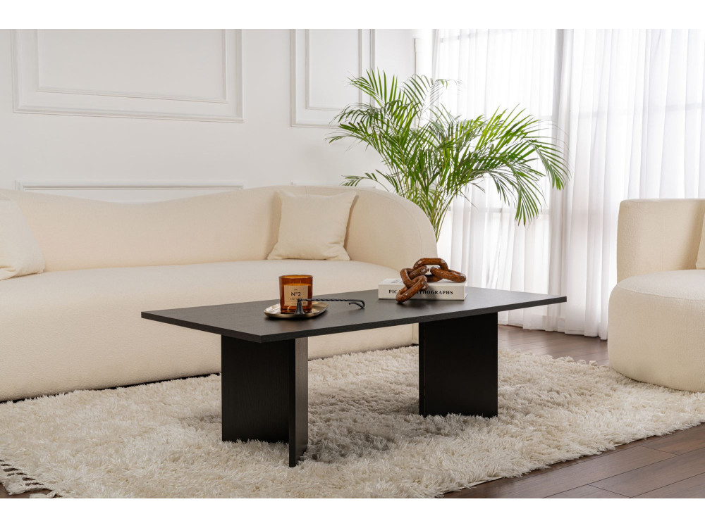 Mesa de centro de madera "Sabin" - 60 x 119 x 40 cm - Madera negra