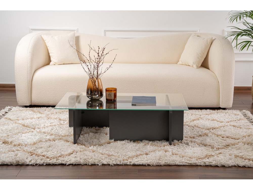 Mesa baja de cristal "Flavio" 105 x 65 x 30 cm - Antracita
