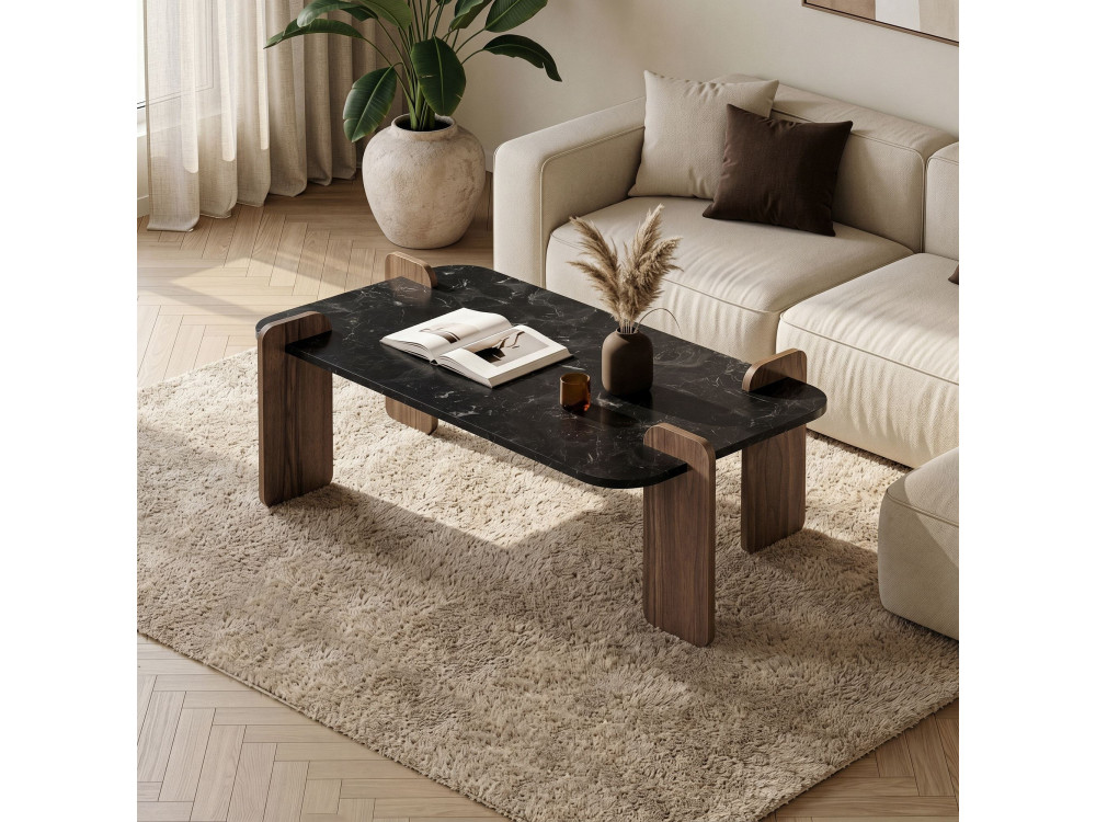 Mesa baja de madera "Renard" - 120 x 60 x 35 cm - Negra