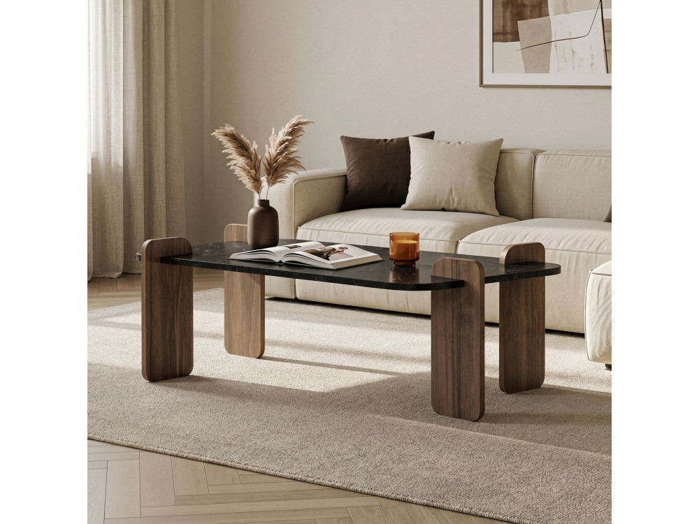 Mesa baja de madera "Renard" - 120 x 60 x 35 cm - Negra