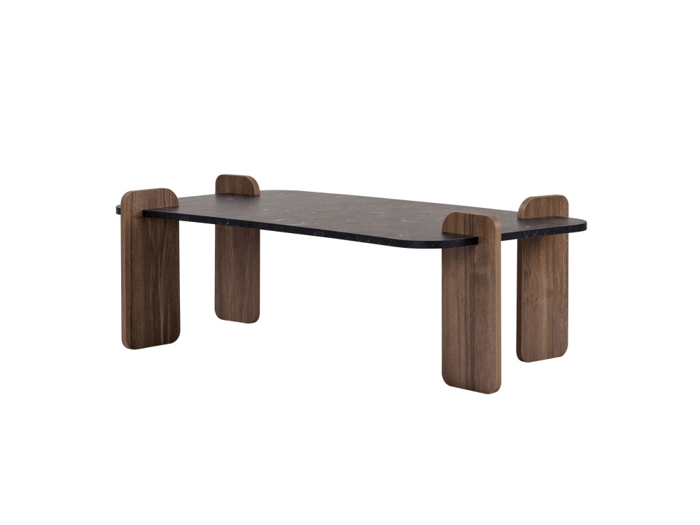 Mesa baja de madera "Renard" - 120 x 60 x 35 cm - Negra