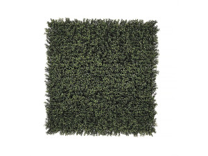 Panel vegetal "Buxus vertical" - Lote de 4 - 1,00 x 1,00 m - Verde
