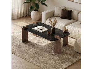 Mesa baja de madera "Renard" - 120 x 60 x 35 cm - Negra 2