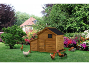 Gallinero de madera "Cocotte" con caja nido - Marrón 2