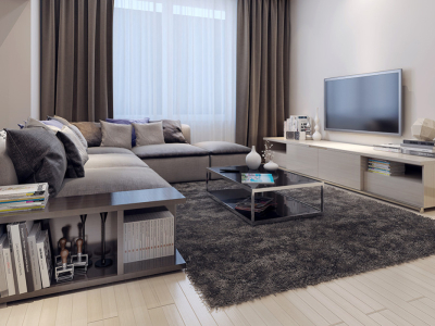 Mueble para la televisión: descripción y usos